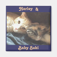 Harley & Baby Suki Fridge Magnet