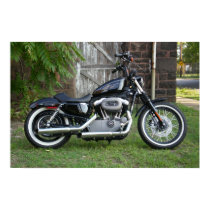 Harley Davidson 1200N Knighster posters