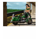 Harley Girl t-shirts by prismranger Harley Girl t-shirts
