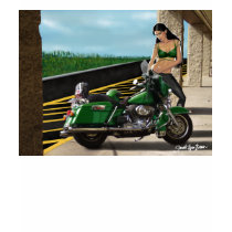 Harley Girl t-shirts by prismranger Harley Girl t-shirts