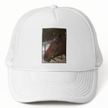 Harley Hat
