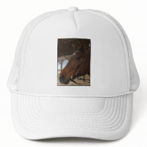 Harley Hat