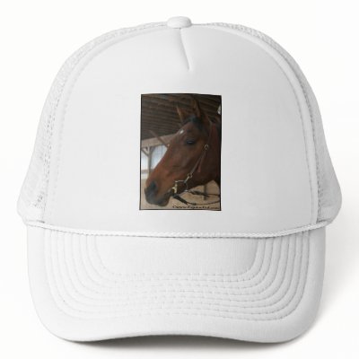 Harley Hat by EquineGal