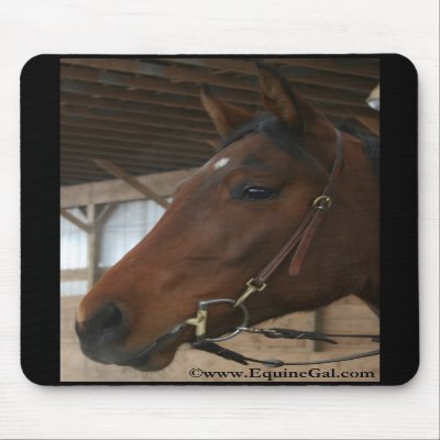 Harley Mousepad by EquineGal