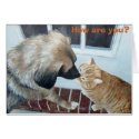 harley nfatboy, How are you? cards
