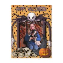 Harley - Pug postcards