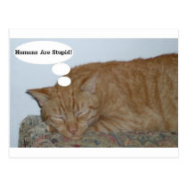 Harley Says... postcards