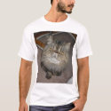 Harley t-shirts