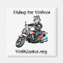 Harley Wolf Square Magnet magnets
