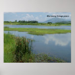 Harmony brings peace print