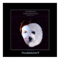 HARMONY Harp Seal Art Poster posters