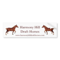 Harmony Hill Draft Horses Bumper Sticker bumper stickers