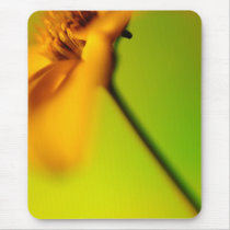 Harmony Mouse Mats