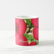 Harmony mugs