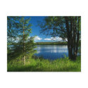 Harmony postcards