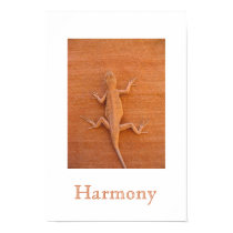 Harmony posters by hmccomas Harmony posters