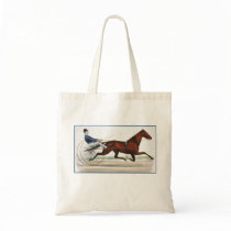 HARNESS HORSE RACER bags