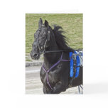 Harness Racing Greeting Card