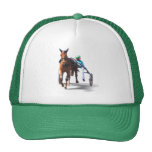 Harness Racing Hat