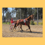Harness racing Print