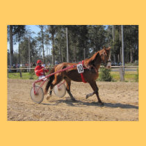 Harness racing Print posters
