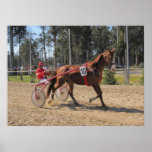 Harness racing Print