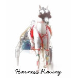 Harness Racing Tshirts
