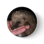 Harold The Hedgehog Button