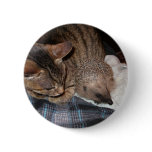 Harold The Hedgehog Button