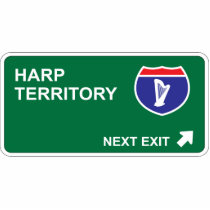 Harp Next Exit Photo Sculptures