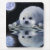 harp seal mousepads, mouse pads, wildlife,