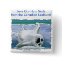 HARP SEAL BABY buttons by RavenSpiritPrints HARP SEAL BABY buttons