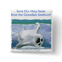 HARP SEAL BABY buttons