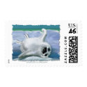 HARP SEAL BABY postage by RavenSpiritPrints HARP SEAL BABY postage