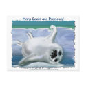 HARP SEAL BABY postcards by RavenSpiritPrints HARP SEAL BABY postcards