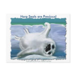 HARP SEAL BABY POST CARDS