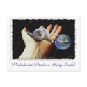 HARP SEAL Earth Day Postcards by RavenSpiritPrints HARP SEAL Earth Day Postcards