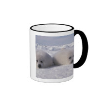 Harp seal (Phoca groenlandica) Harp seal pups Coffee Mug