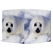 Harp seal pup ice Gulf of St. Lawrence, Vinyl Binders