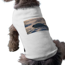 Harp Seal Pup in Snow pet clothing by alternateworlds Harp Seal Pup in Snow pet clothing