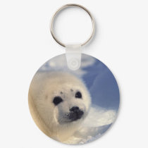 Harp Seal Pup keychains by alternateworlds Harp Seal Pup keychains