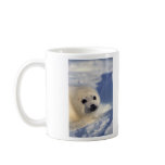 Harp Seal Pup mugs