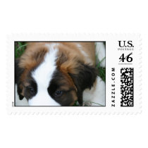 Harperman postage