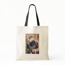 Harpey Eagle Tote Bag