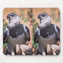 Harpey Eagle Mouse Pad