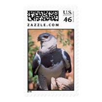 Harpey Eagle Postage