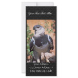 Harpey Eagle rack cards