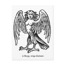 Harpy Beast postcards by Tower_of_Shadows Harpy Beast postcards