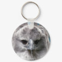 Harpy Eagle #4 keychains by ForestPhoto Harpy Eagle #4 keychains