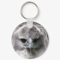 Harpy Eagle #4 keychains